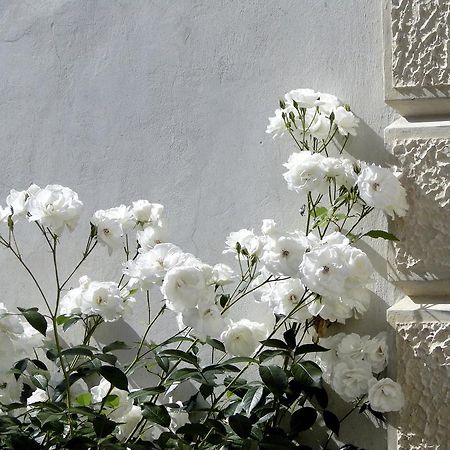Villa Barberina Valdobbiadene Εξωτερικό φωτογραφία