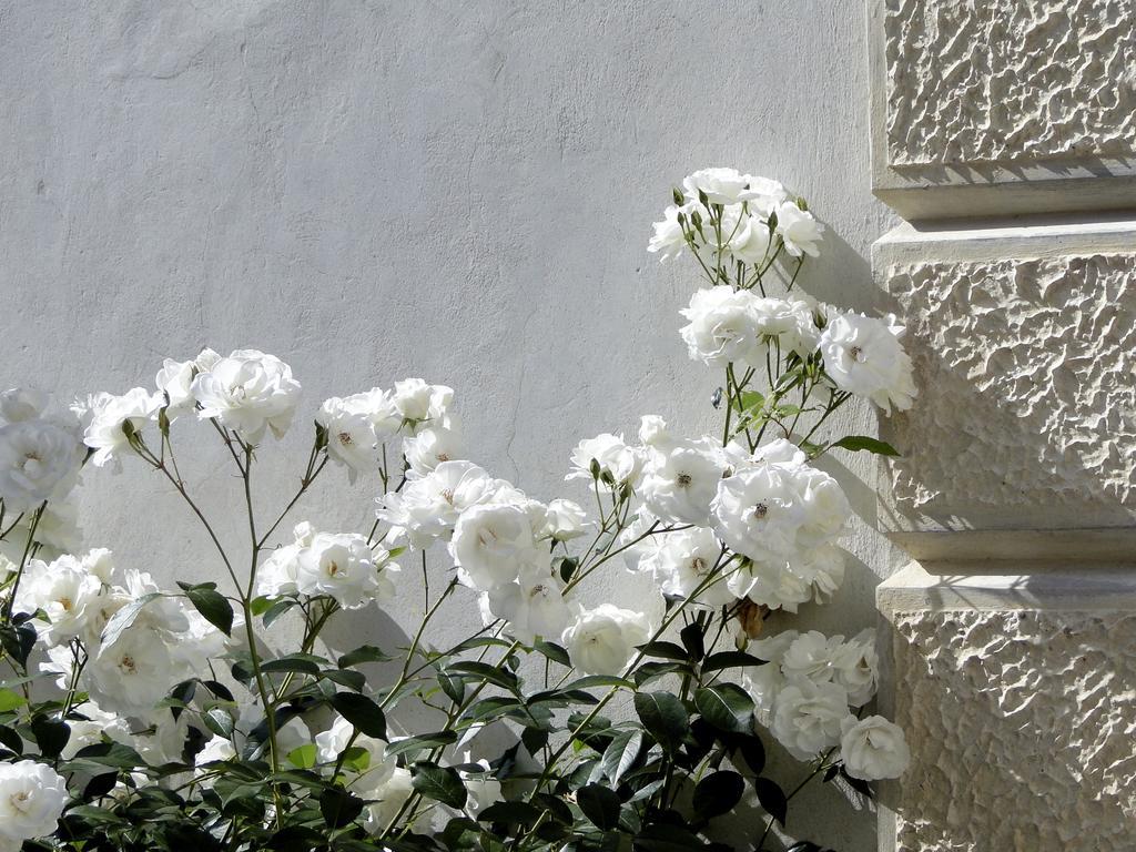 Villa Barberina Valdobbiadene Εξωτερικό φωτογραφία